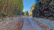 Lauret_23_12-4