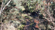 Lauret_23_12-40