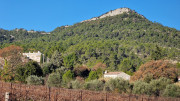 Lauret_23_12-5
