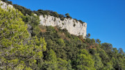 Lauret_23_12-60
