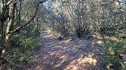 Lauret_23_12-64