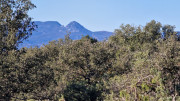 Lauret_23_12-65