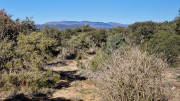 Lauret_23_12-66
