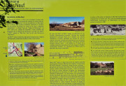 Lauret_23_12-67