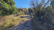 Lauret_23_12-79