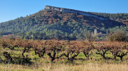 Lauret_23_12-8