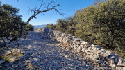 Lauret_23_12-81