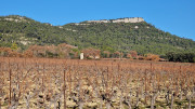 Lauret_23_12-9