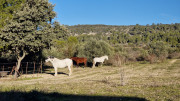 Mourissipe_23_12-12