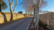 Mourissipe_23_12-8