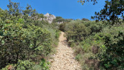 Aqueduc_4-41