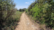 Aqueduc_4-64