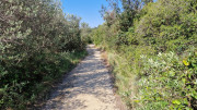 Aqueduc_4-8