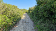 Aqueduc_4-9
