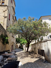 UZES_23_05-106
