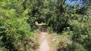 UZES_23_05-119