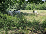 UZES_23_05-128