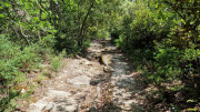 UZES_23_05-136