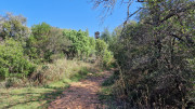 UZES_23_05-15