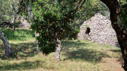 UZES_23_05-18