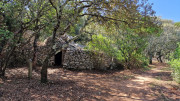 UZES_23_05-24