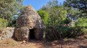 UZES_23_05-31