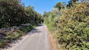 UZES_23_05-32