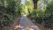 UZES_23_05-5