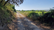 UZES_23_05-7