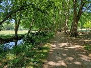 UZES_23_05-72
