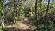 UZES_23_05-9