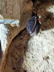 Gornies_Grotte-13