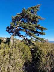 LAVAGNES_23_01-64