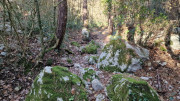 LAVAGNES2_23_11-108