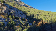 LAVAGNES2_23_11-109