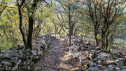 LAVAGNES2_23_11-11