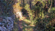 LAVAGNES2_23_11-110