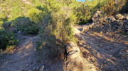 LAVAGNES2_23_11-117