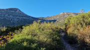 LAVAGNES2_23_11-119