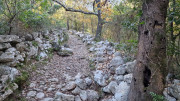 LAVAGNES2_23_11-12