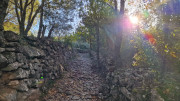 LAVAGNES2_23_11-13