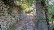 LAVAGNES2_23_11-15
