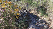 LAVAGNES2_23_11-29