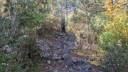 LAVAGNES2_23_11-34
