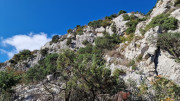 LAVAGNES2_23_11-38