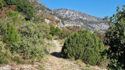 LAVAGNES2_23_11-52