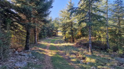 LAVAGNES2_23_11-81