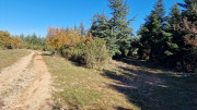 LAVAGNES2_23_11-82