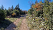 LAVAGNES2_23_11-83