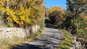 LAVAGNES2_23_11-98